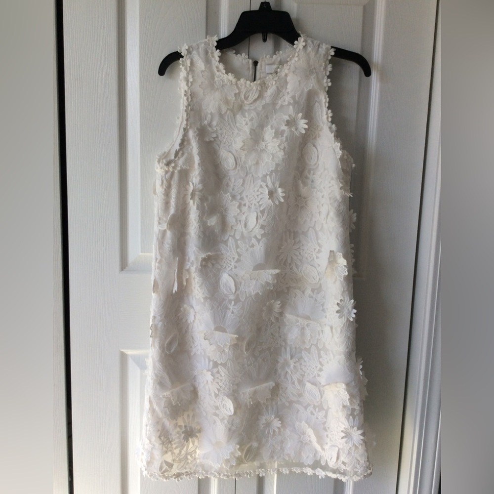 Anthropologie Daisy Lace Shift Dress by Eri + Ali Sz M